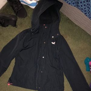 Hollister coat